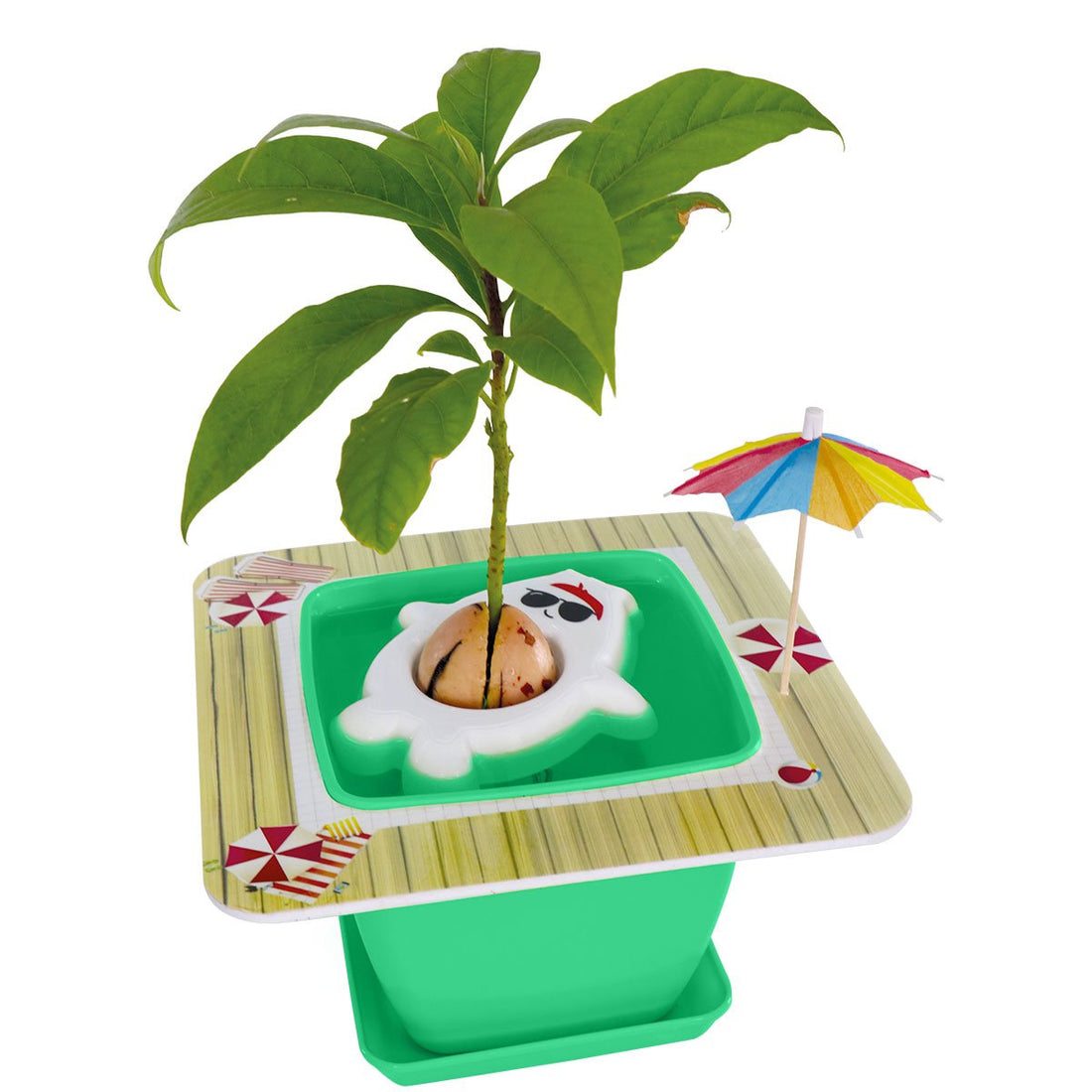 AvoSeedo 2.0 - Pet Avocado Salmon Rhea