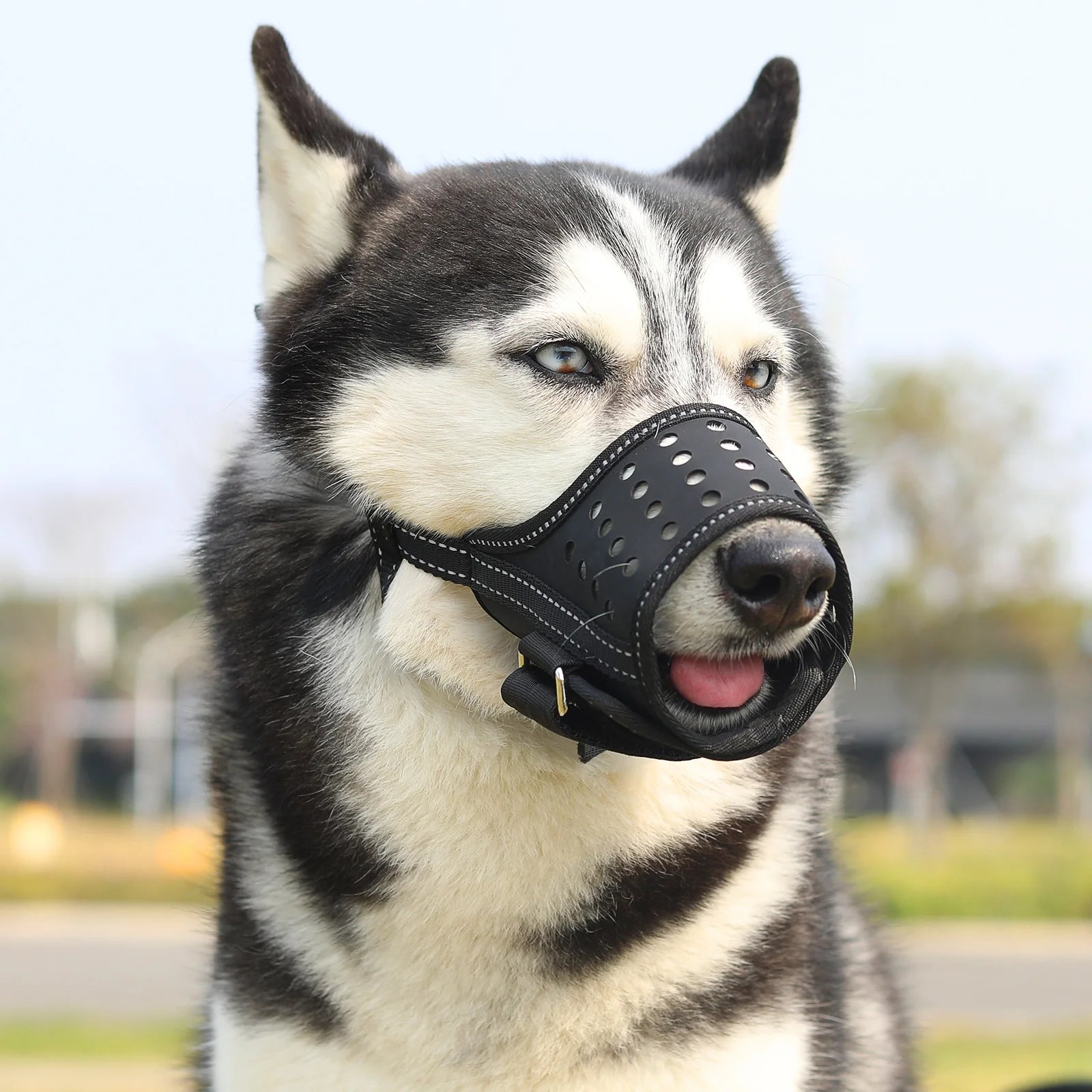 Dog Muzzle, Soft Leather Muzzle anti Biting Barking Chewing, Breathable Puppy No Bark Muzzle, Black