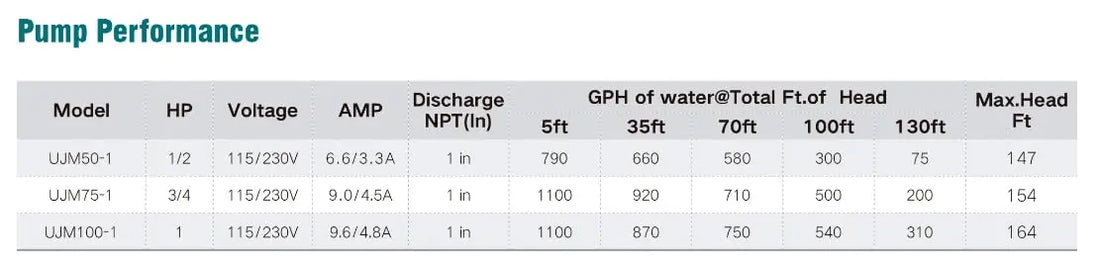 LIVEVIE Leo Pump Convertible Well Pump - Cast Iron, Dual Voltage Lemon Odysseus