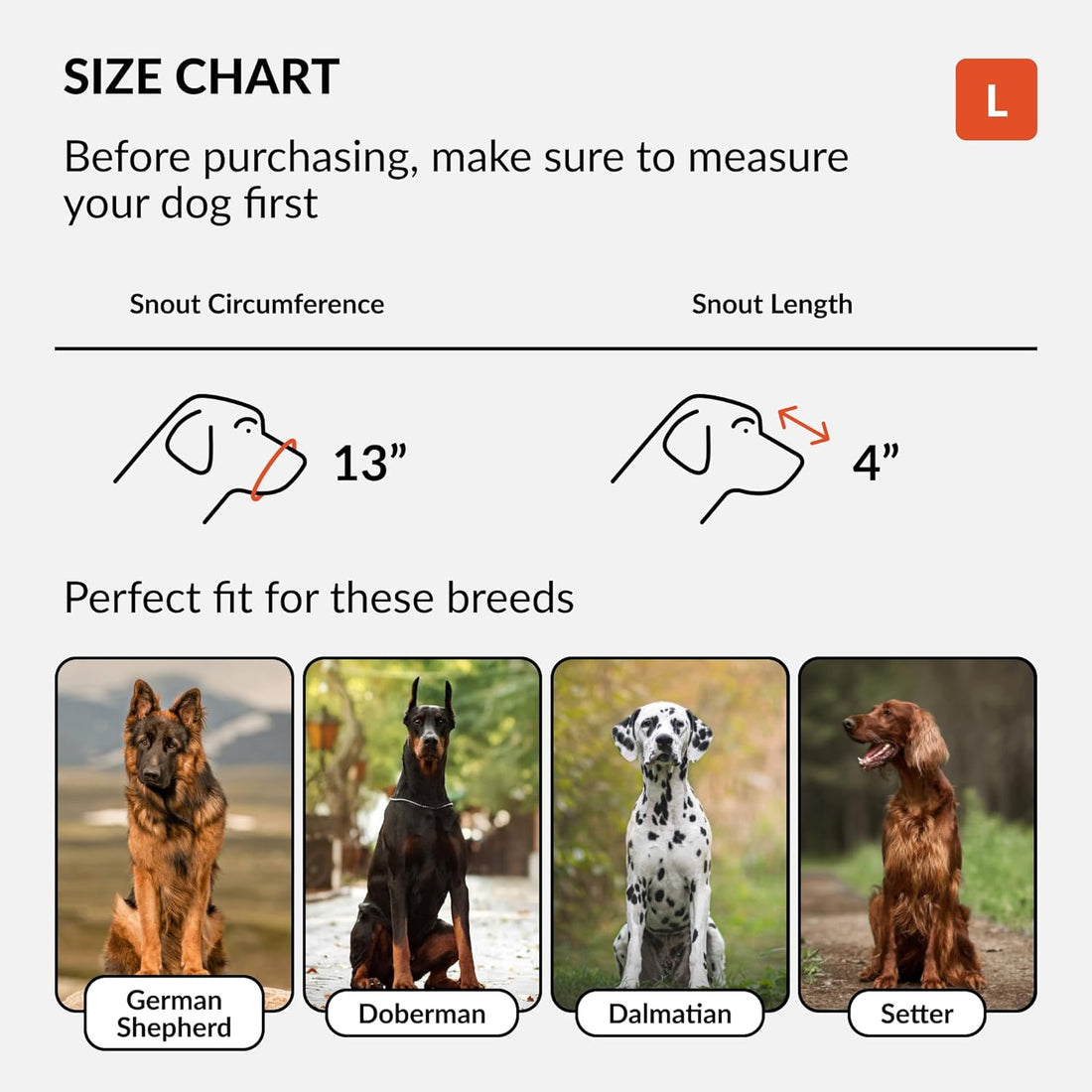 Dog Muzzle German Shepherd Dalmatian Doberman Setter Leather Basket Medium Large Breeds (Black, Large)