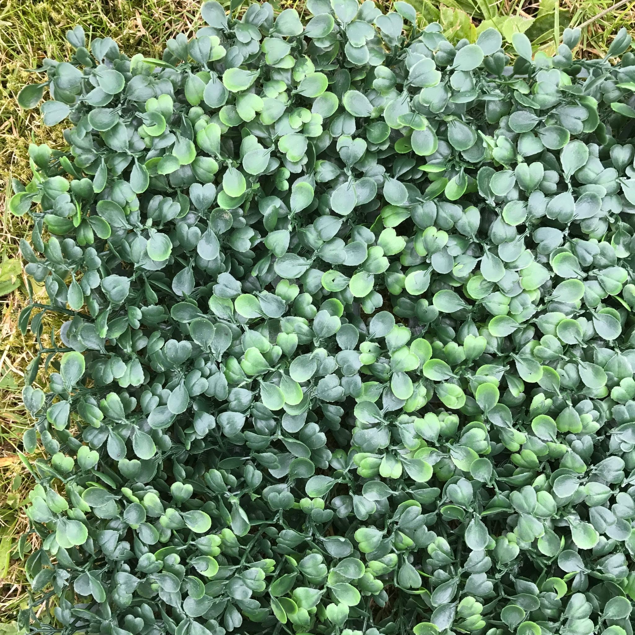 Artificial Flame Resistant Boxwood Hedging Panel 50x50cm Ruby Rhea