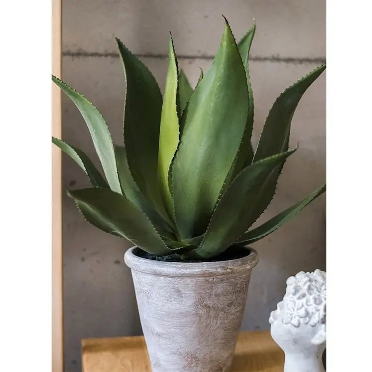 Artificial Faux Large Potted Agave Plant 22.8" Sangria Uranus