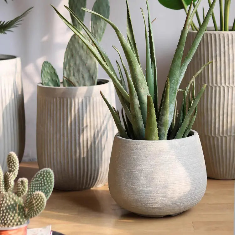Rustic Globe Cement Planter Sangria Uranus