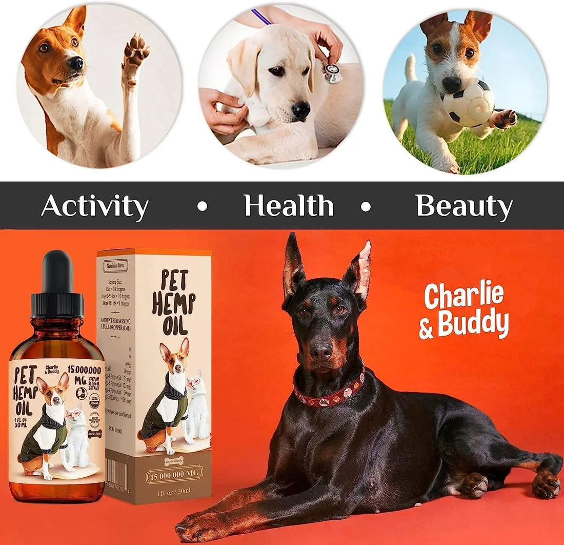 Charlie Buddy   H–µmp Oil for Dogs Cats   Hi—Ä and J–æint Supp–ært and Periwinkle Eros