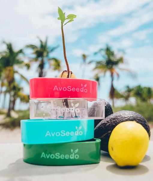 AvoSeedo Plant Pot Set Salmon Rhea