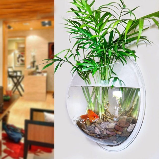 Wall Mounted Fish Bowl Fuchsia Molly