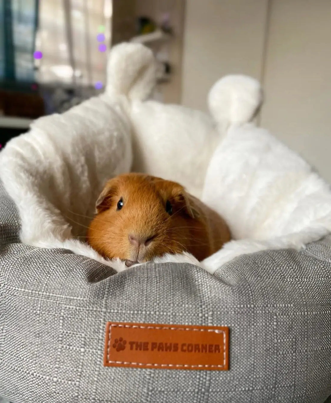 Buy one take one, Fast Shipping Cat Bed Sleeping Bag (Grey-Small) Teal Zeus