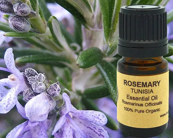 Rosemary Essential Oil (Organic) 15ml Yellow Poppy