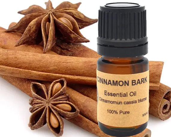 Cinnamon Bark Essential Oil 15 ml Yellow Poppy