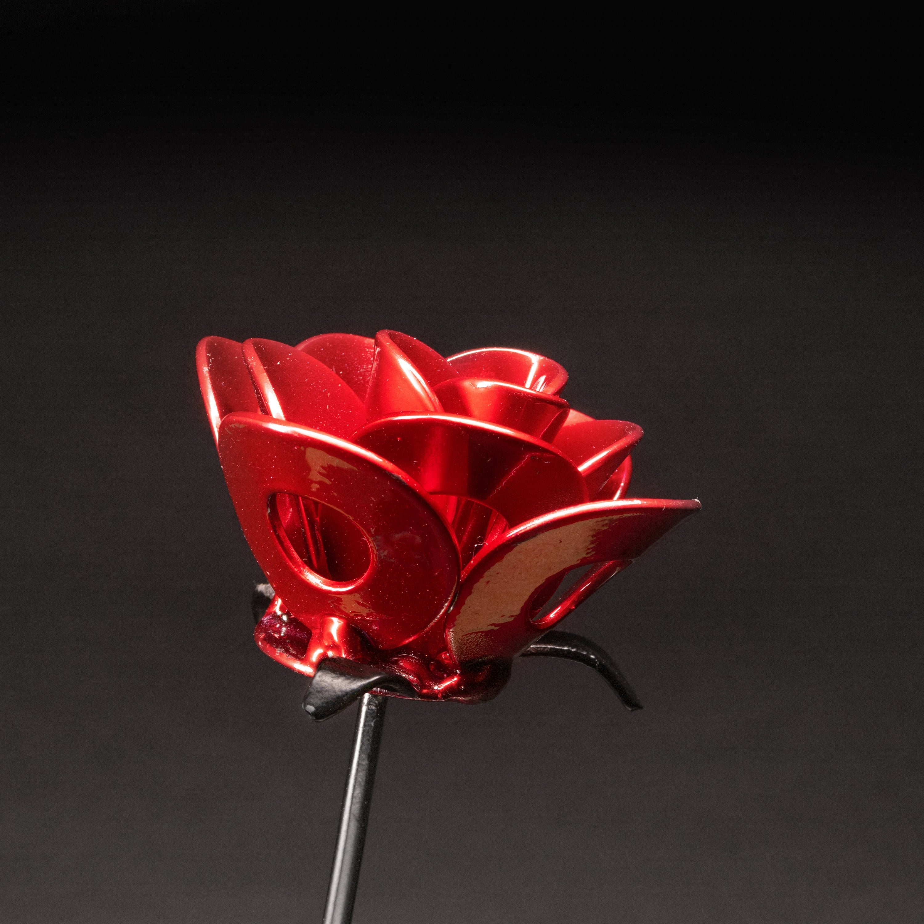 Red and Black Immortal Roses, Recycled Metal Roses, Steel Rose Turquoise Poppy