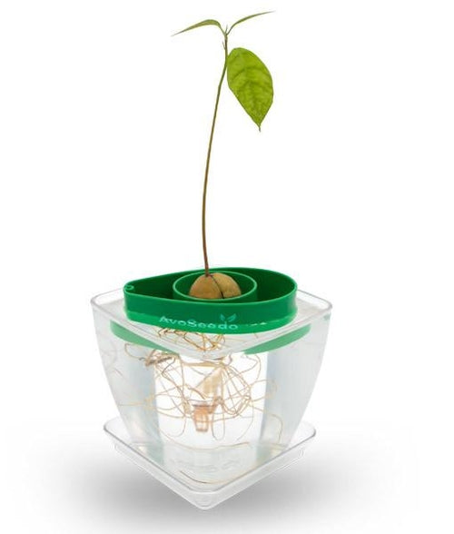 AvoSeedo Plant Pot Set Salmon Rhea