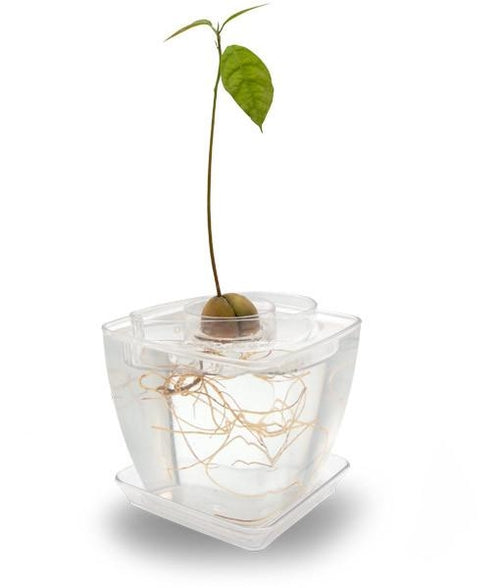 AvoSeedo Plant Pot Set Salmon Rhea