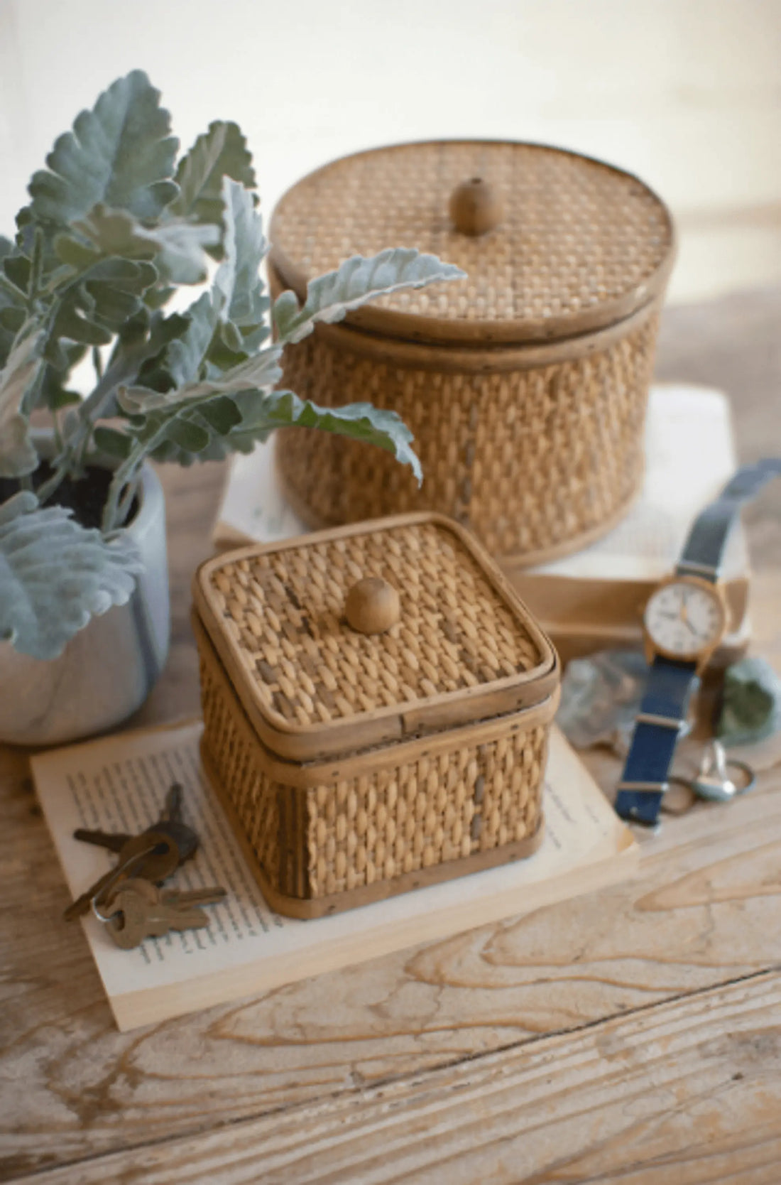 Elegant Set Of Two Woven Cane Storage Boxes White Diomedes