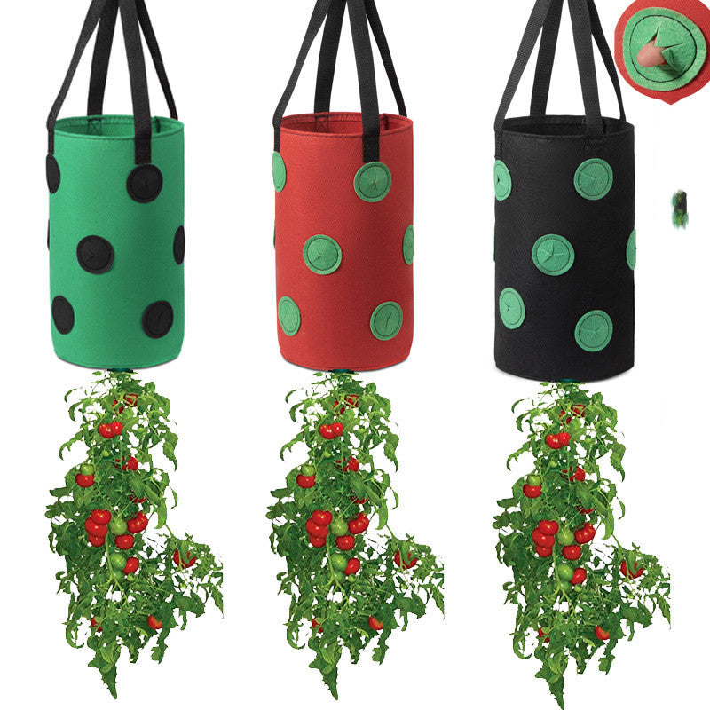 Strawberry Grow Bag Nonwoven Fabric Vertical Jardin Garden Maroon Asteria