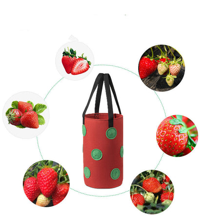 Strawberry Grow Bag Nonwoven Fabric Vertical Jardin Garden Maroon Asteria