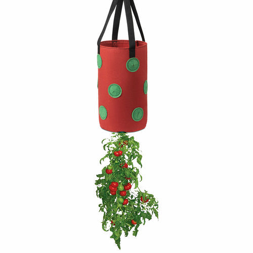 Strawberry Grow Bag Nonwoven Fabric Vertical Jardin Garden Maroon Asteria