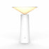 Rotating Lamp Head Three-color Light Charging Touch Maroon Asteria