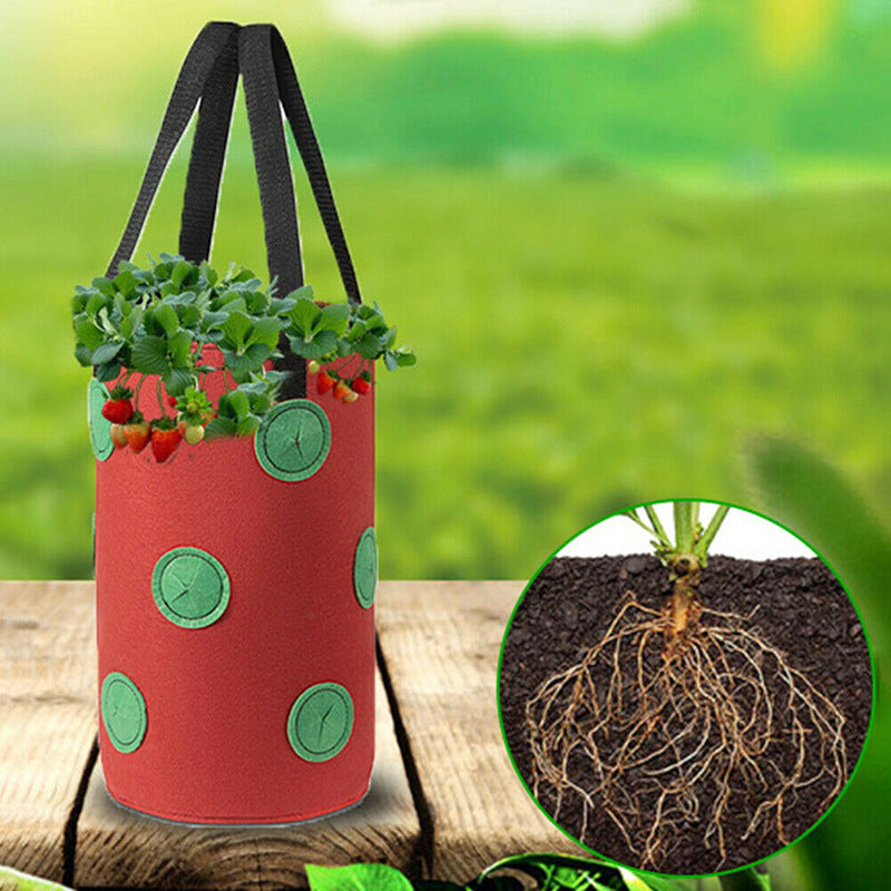 Strawberry Grow Bag Nonwoven Fabric Vertical Jardin Garden Maroon Asteria