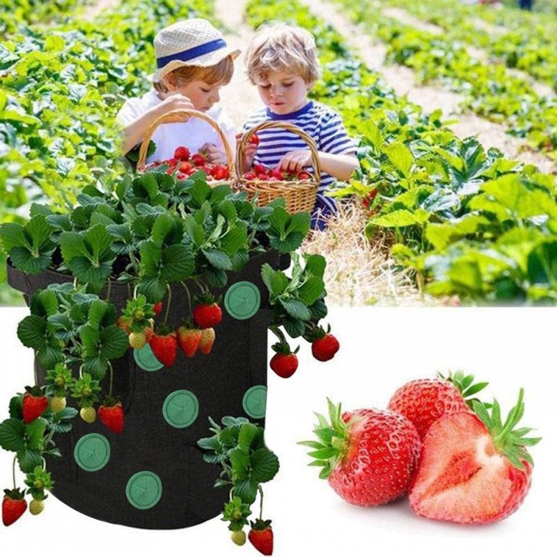 Strawberry Grow Bag Nonwoven Fabric Vertical Jardin Garden Maroon Asteria