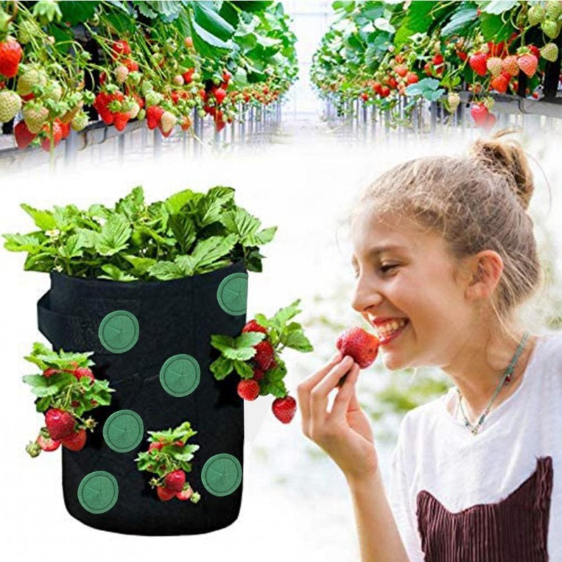 Strawberry Grow Bag Nonwoven Fabric Vertical Jardin Garden Maroon Asteria