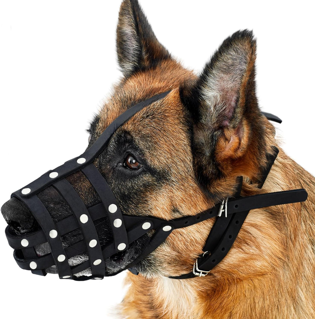 Dog Muzzle German Shepherd Dalmatian Doberman Setter Leather Basket Medium Large Breeds (Black, Large)