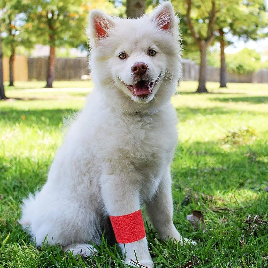 12 Rolls Self Adhesive Stretch Bandage Wrap 2 Inch X 6 Yards, Adherent Cohesive Vet Tape for First Aid, Wrist and Ankle Swelling, Animals, Pets, Sports (6 Colors)