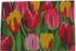 24" X 36" Red and Green Coir Floral Outdoor Spring Door Mat White Diomedes
