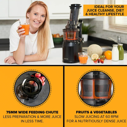 f1900 Whole Fruit Juicer Burgundy Alfie