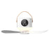 Multifunctional Light Small Ceiling Fan Outdoor Camping USB Crimson Medea