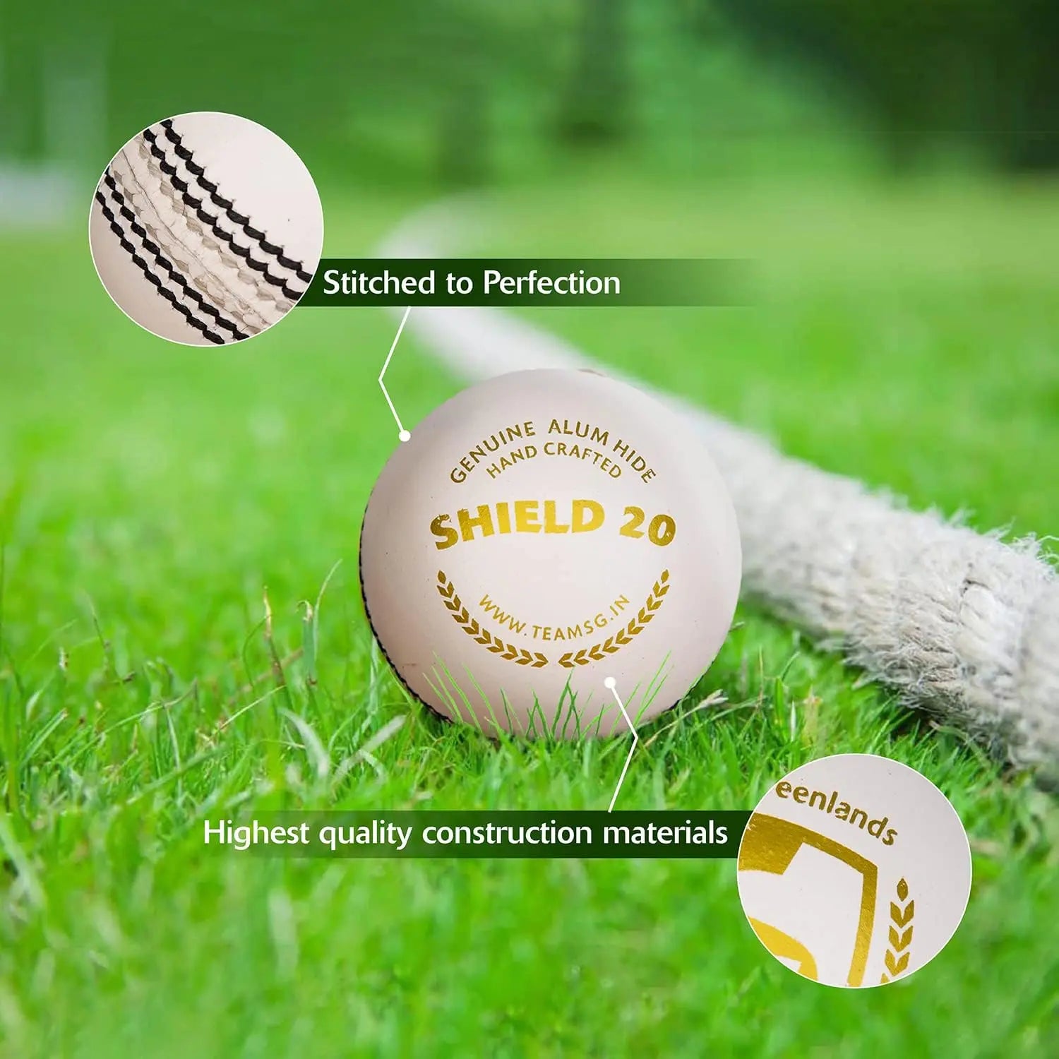 SG Cricket Shield 20 Premium Leather Ball (White Color) Lemon Odysseus