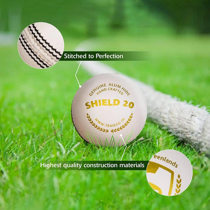 SG Cricket Shield 20 Premium Leather Ball (White Color) Lemon Odysseus