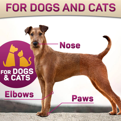 Natural Dog Paw Balm Dog Paw Protection for Hot Pavement Dog Paw Wax Periwinkle Eros
