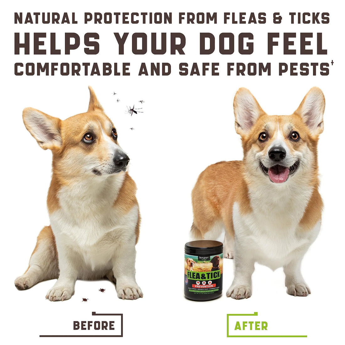 Flea and Tick Prevention Chewable for Dogs No Collars Needed Periwinkle Eros