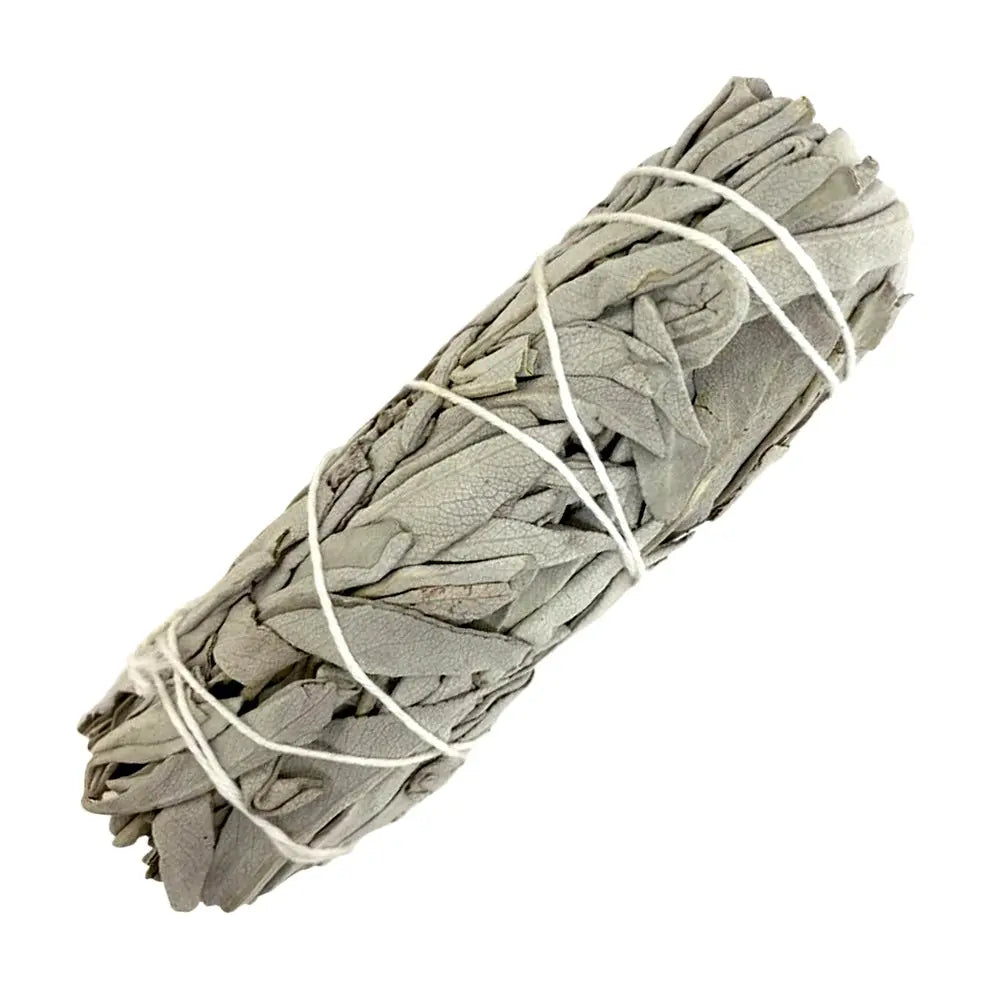 White Sage Smudge - Bundle 6&quot; Alabaster