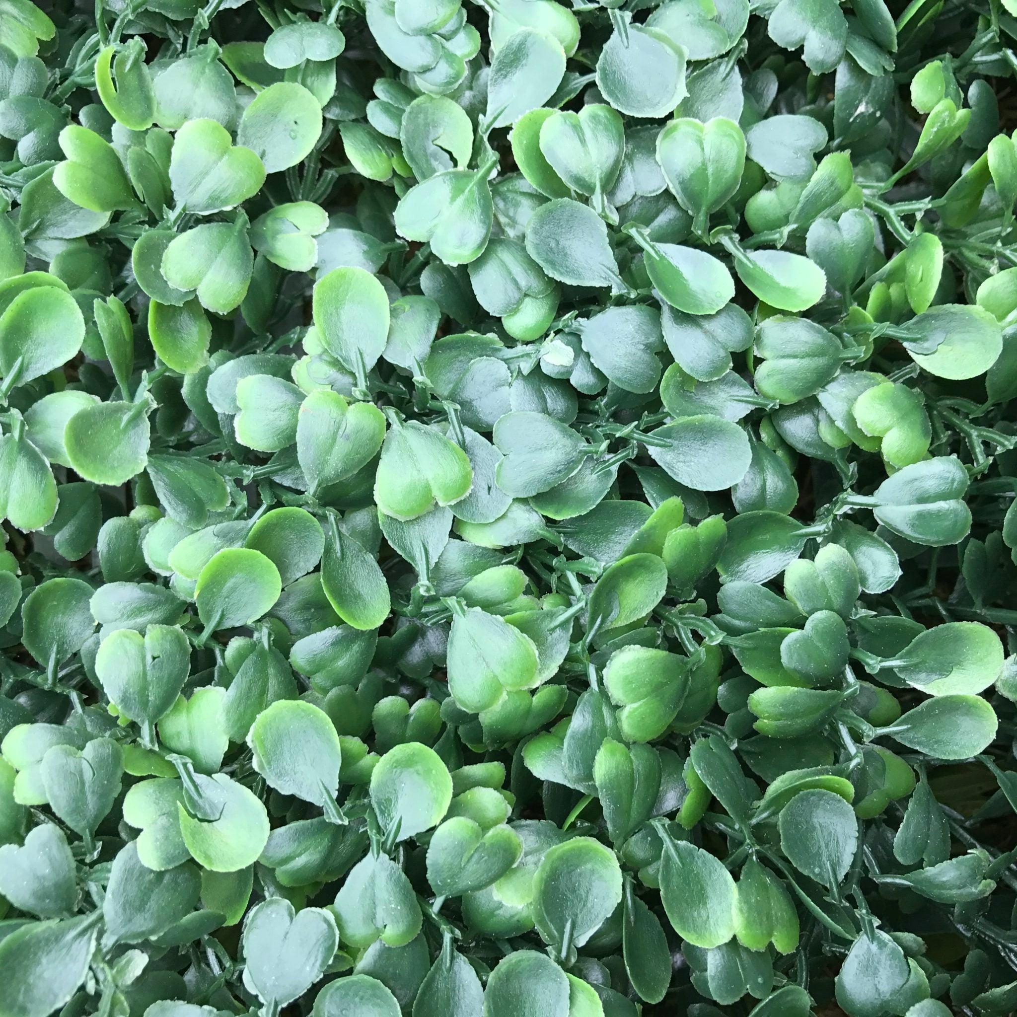 Artificial Flame Resistant Boxwood Hedging Panel 50x50cm Ruby Rhea
