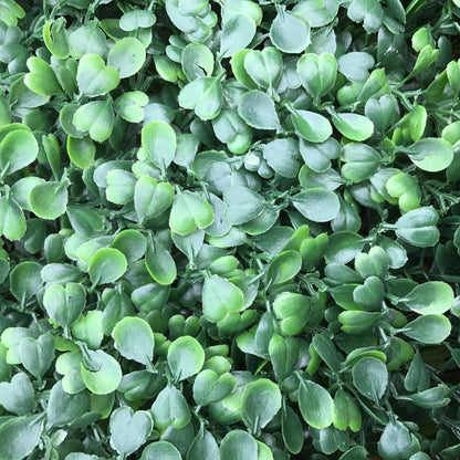 Artificial Flame Resistant Boxwood Hedging Panel 50x50cm Ruby Rhea