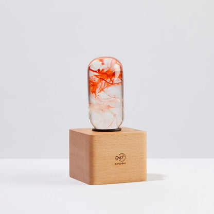 Table Lamp - Tango Sangria Apricot