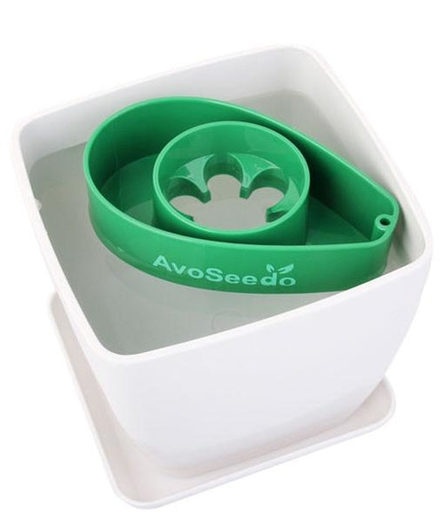 AvoSeedo Plant Pot Set Salmon Rhea
