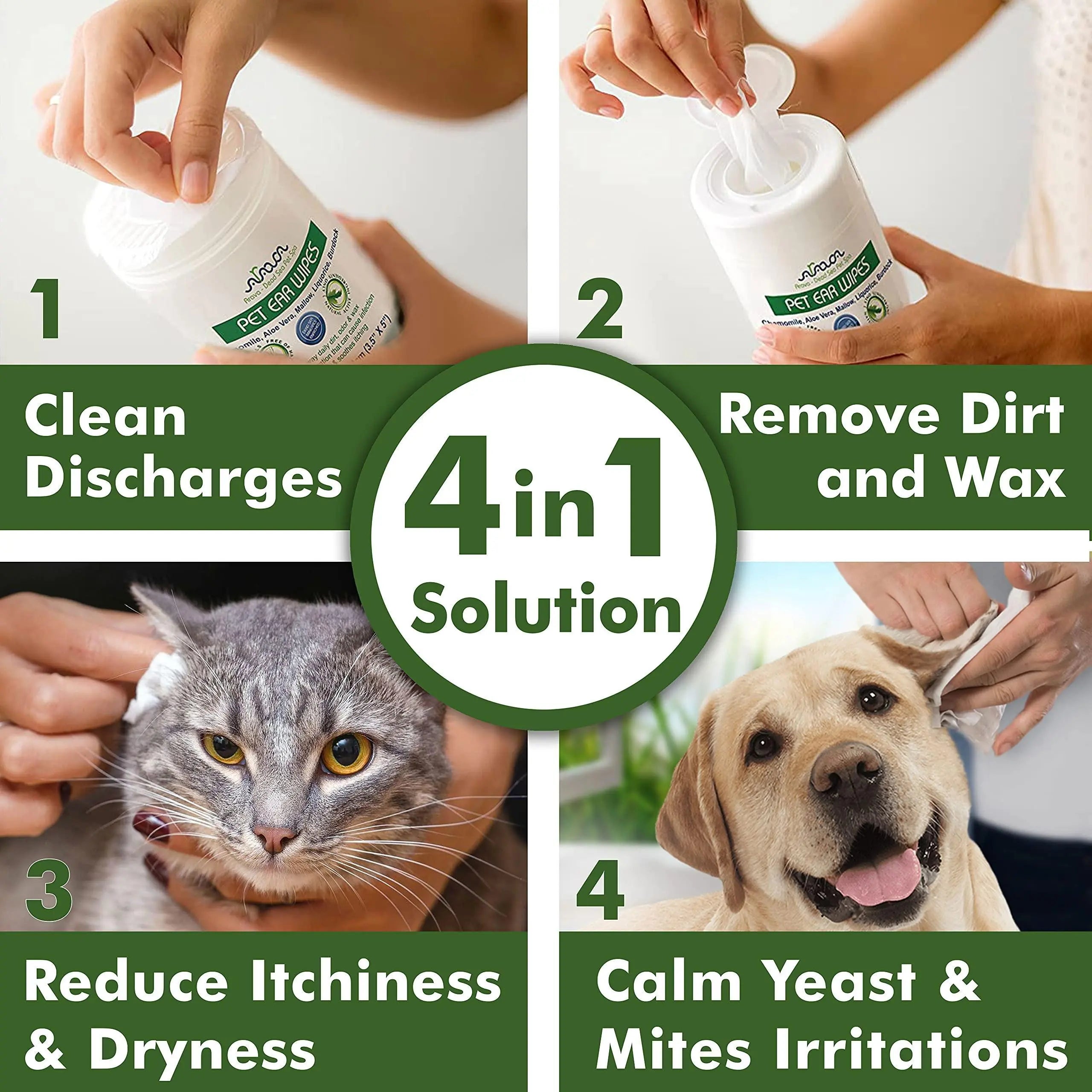 Ear Cleaner Wipes by Arava   for Dogs Cats Puppies &amp; Kittens   100 Periwinkle Eros