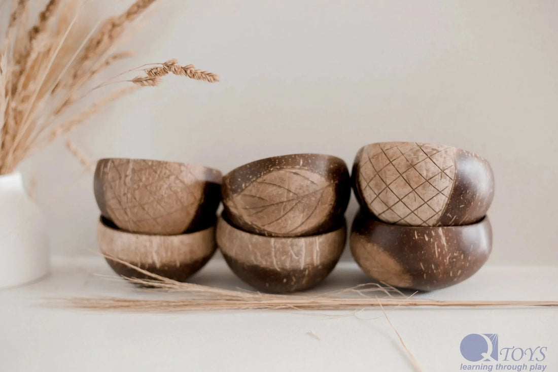 QToys Australia (USA) Patterned Coconut Bowls set of 6 Plum Thanatos