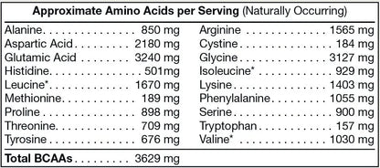 Pure Plant Protein - Chocolate Erin Chaos