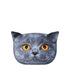 Leon Deko Cat-Shaped Pillow Bertoni L 30 x 45 cm. Amber Tiger