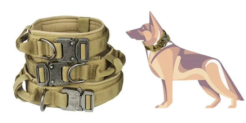 Fast Shipping Durable Military Tactical Dog Collar Teal Zeus