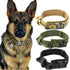 Fast Shipping Durable Military Tactical Dog Collar Teal Zeus