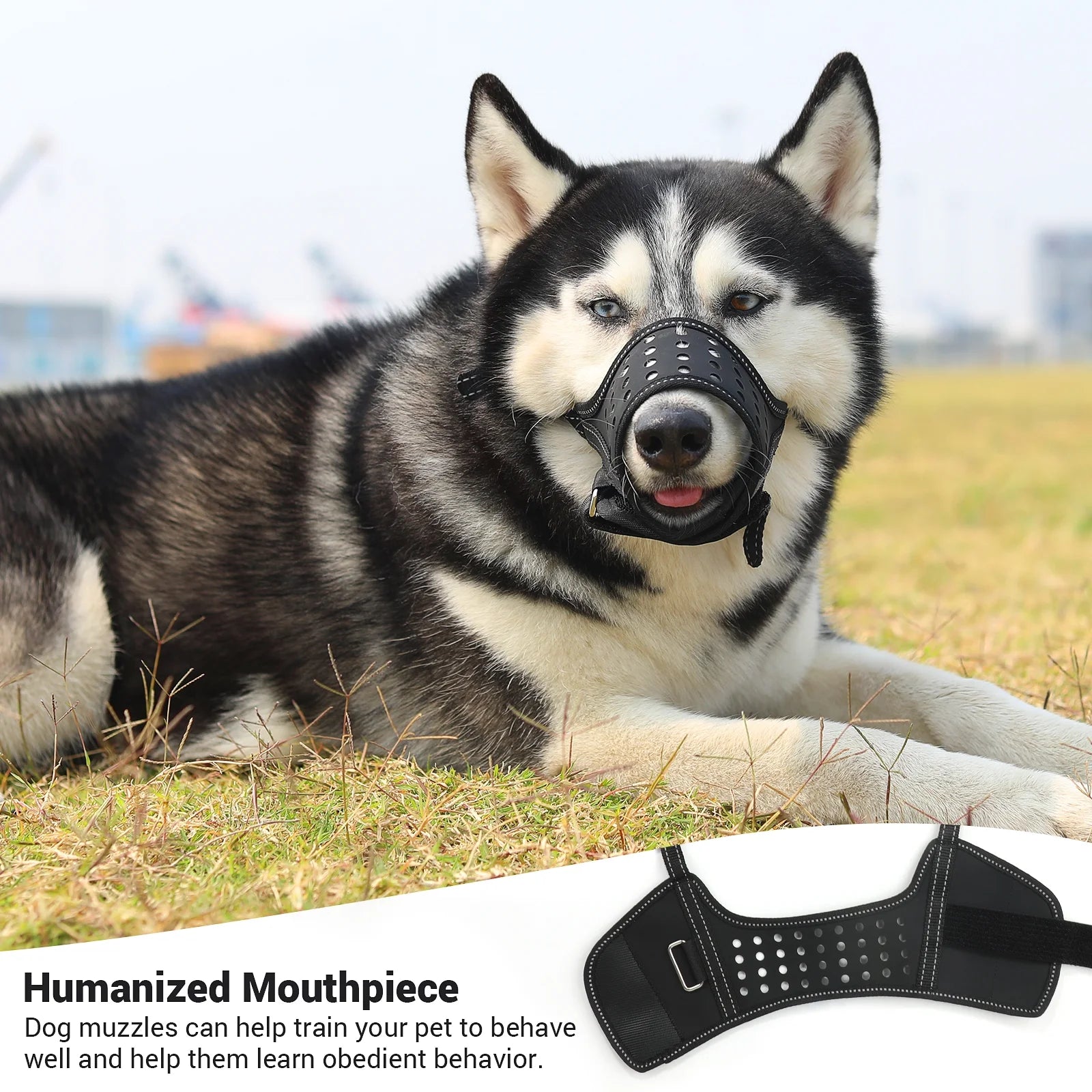 Dog Muzzle, Soft Leather Muzzle anti Biting Barking Chewing, Breathable Puppy No Bark Muzzle, Black