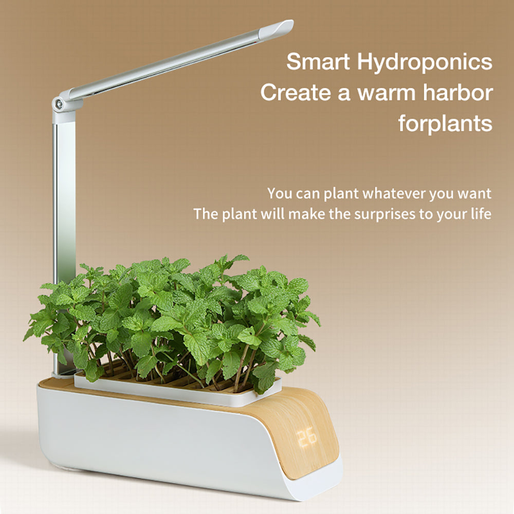 Hydroponic Container Flower Pot Garden Patio ABS Maroon Asteria