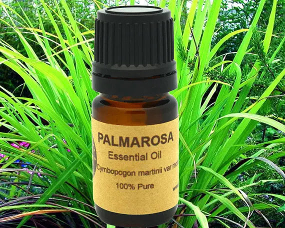 Palmarosa Essential Oil Organic 15ml Yellow Poppy