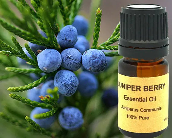 Juniper Berry Essential Oil 15ml Yellow Poppy