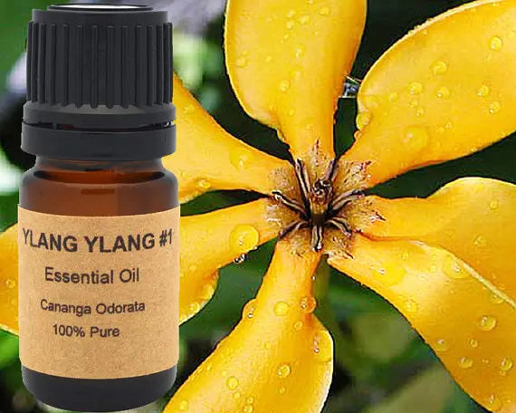 Ylang Ylang Essential Oil 5 ml, 10 ml or 15 ml Yellow Poppy