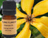 Ylang Ylang Essential Oil 5 ml, 10 ml or 15 ml Yellow Poppy